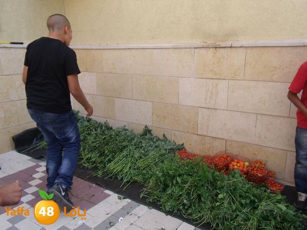 sooqelzahra2lud602 (56).JPG